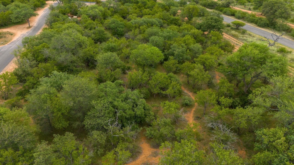 Vacant land for sale in Hoedspruit Wildlife Estate - 1HS1725305