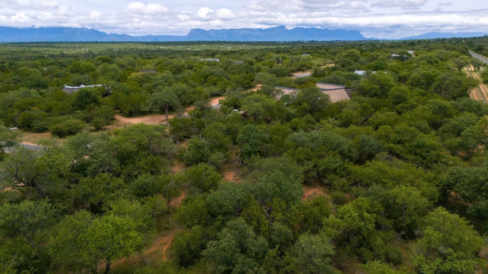 Vacant land for sale in Hoedspruit Wildlife Estate - 1HS1725305