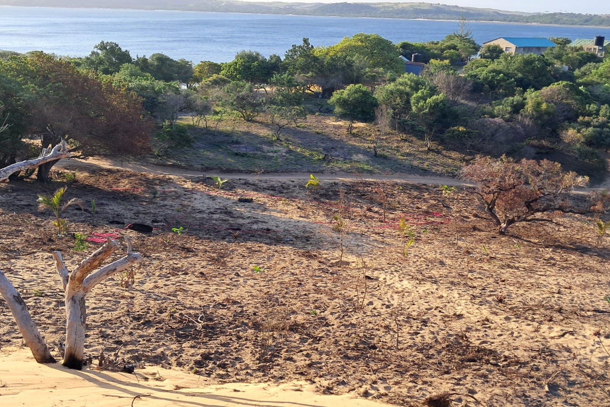 Vacant land for investment in Bilene, Mozambique - 3MQ1725356