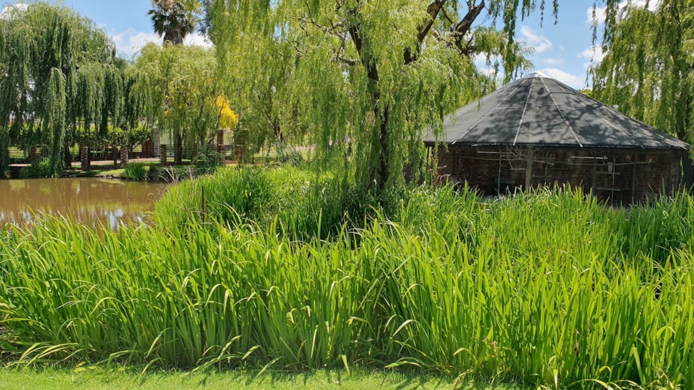 Smallholding for sale in Vaal Bank - 1VT1725530