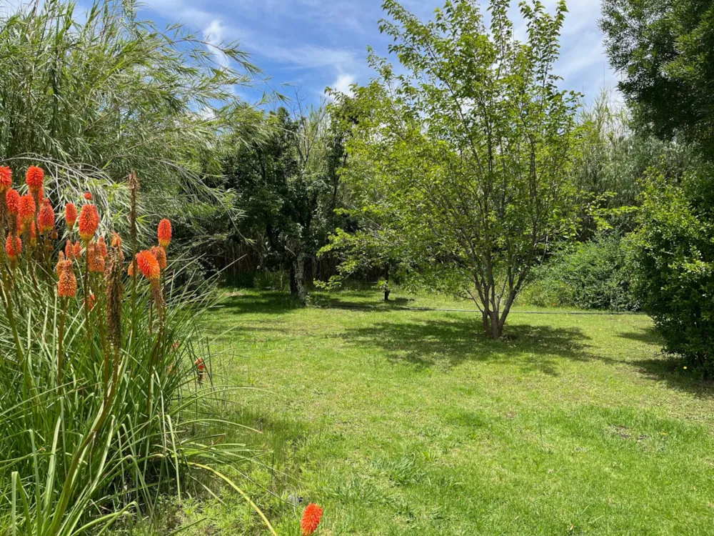 Vacant land sold in Rosendal, Free State - 1CS1725527