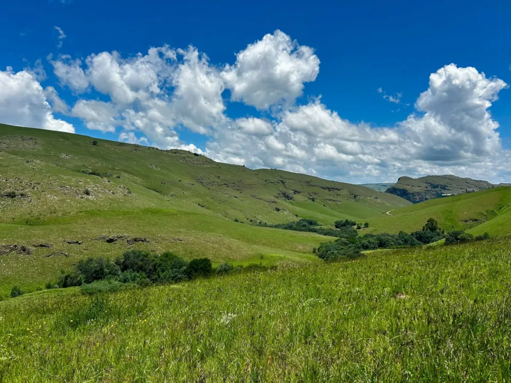 Vacant land sold in Highland Gate - 1DS1725532