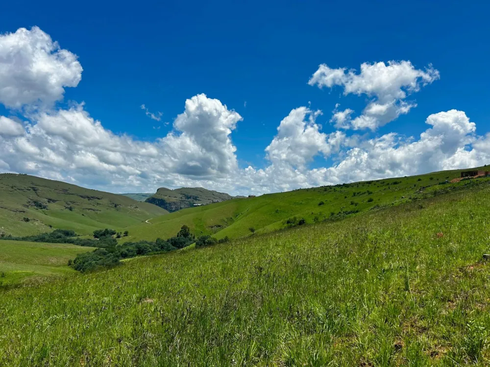 Vacant land sold in Highland Gate - 1DS1725532