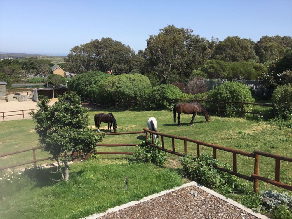 House for sale in Crofters Valley - FH1724823 House for sale in Crofters Valley - FH1724823