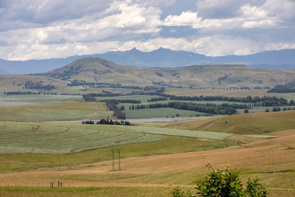 Smallholding for sale in Underberg - 1UB1725593 Smallholding for sale in Underberg - 1UB1725593