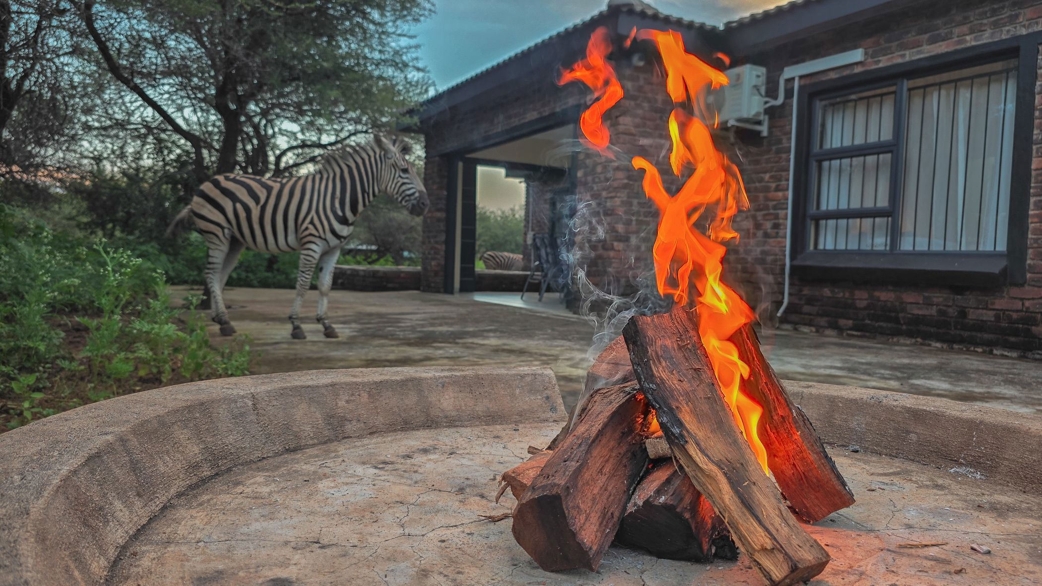 House to rent in Marloth Park - 1NK1718598