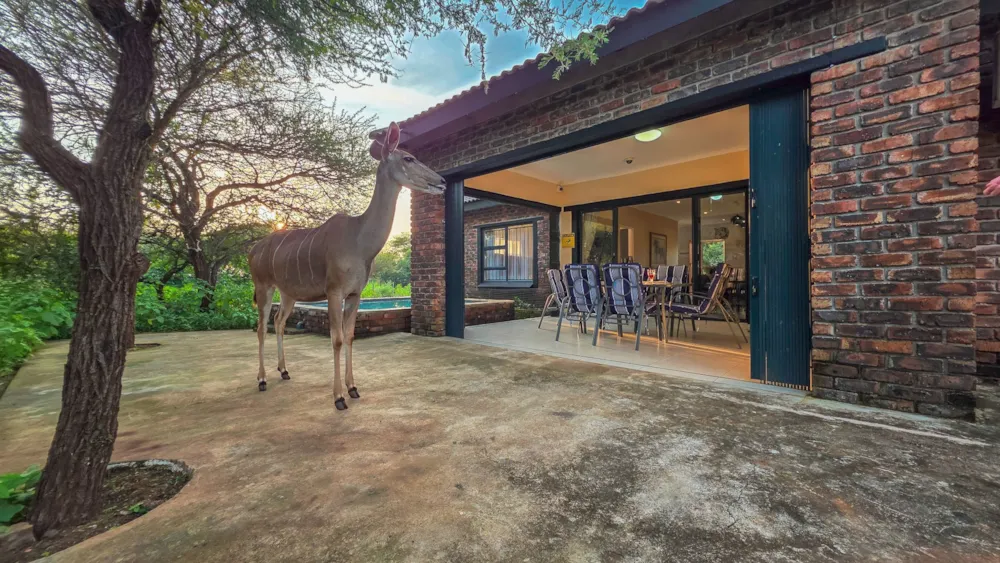 House to rent in Marloth Park - 1NK1718598 House to rent in Marloth Park - 1NK1718598