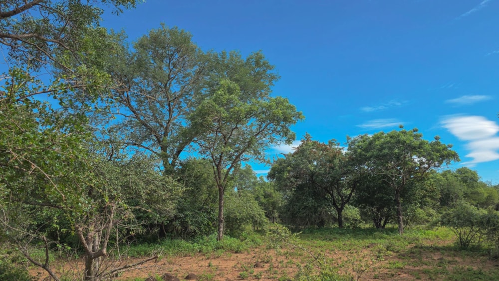 Vacant land for sale in Marloth Park - 1NK1727784 Vacant land for sale in Marloth Park - 1NK1727784