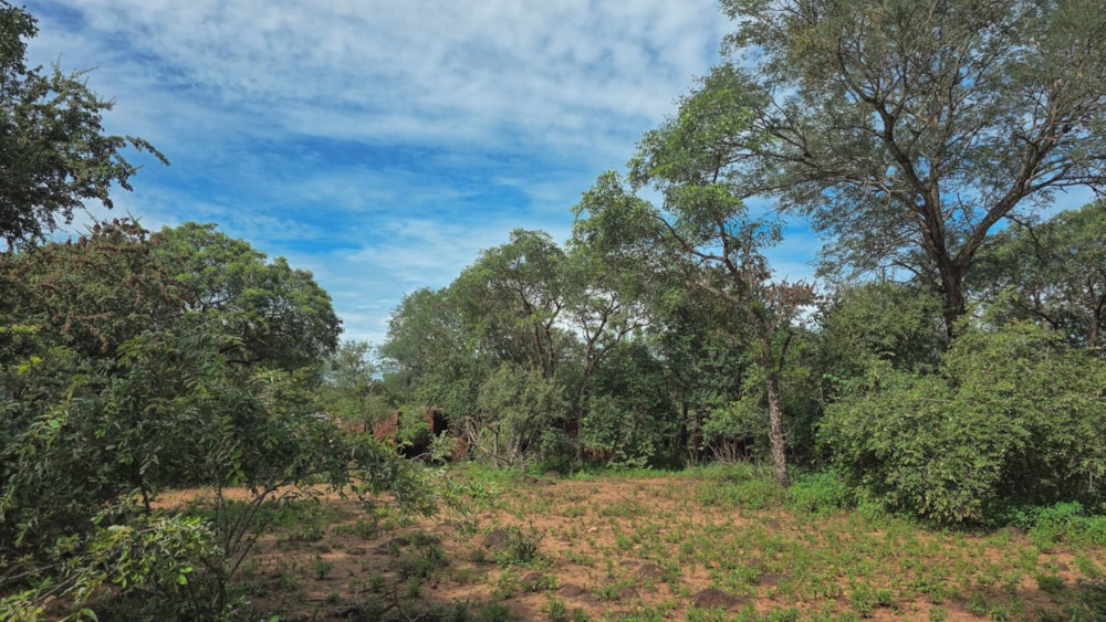 Vacant land for sale in Marloth Park - 1NK1727784 Vacant land for sale in Marloth Park - 1NK1727784