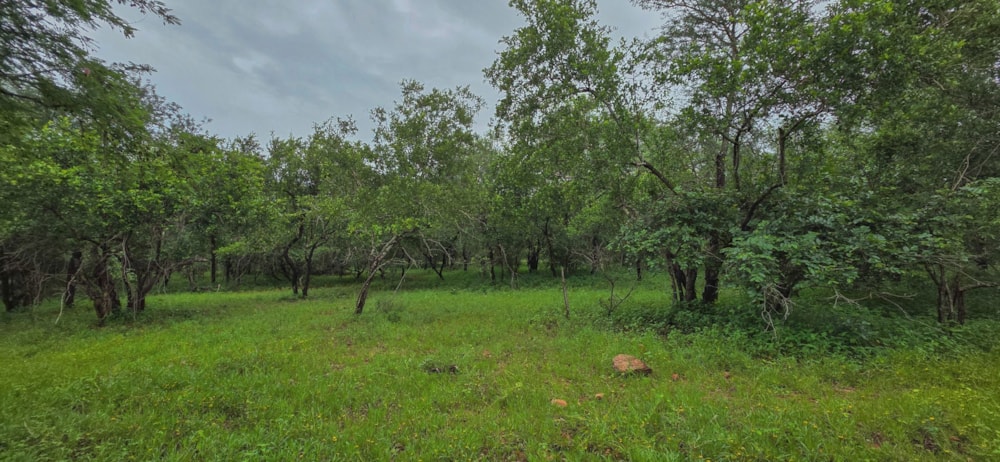 Vacant land for sale in Marloth Park - 1NK1726296 Vacant land for sale in Marloth Park - 1NK1726296