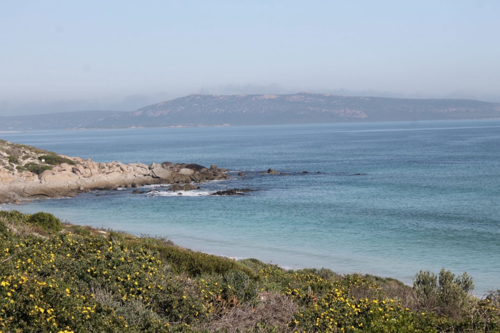 House for sale in Calypso Beach - LA1727180