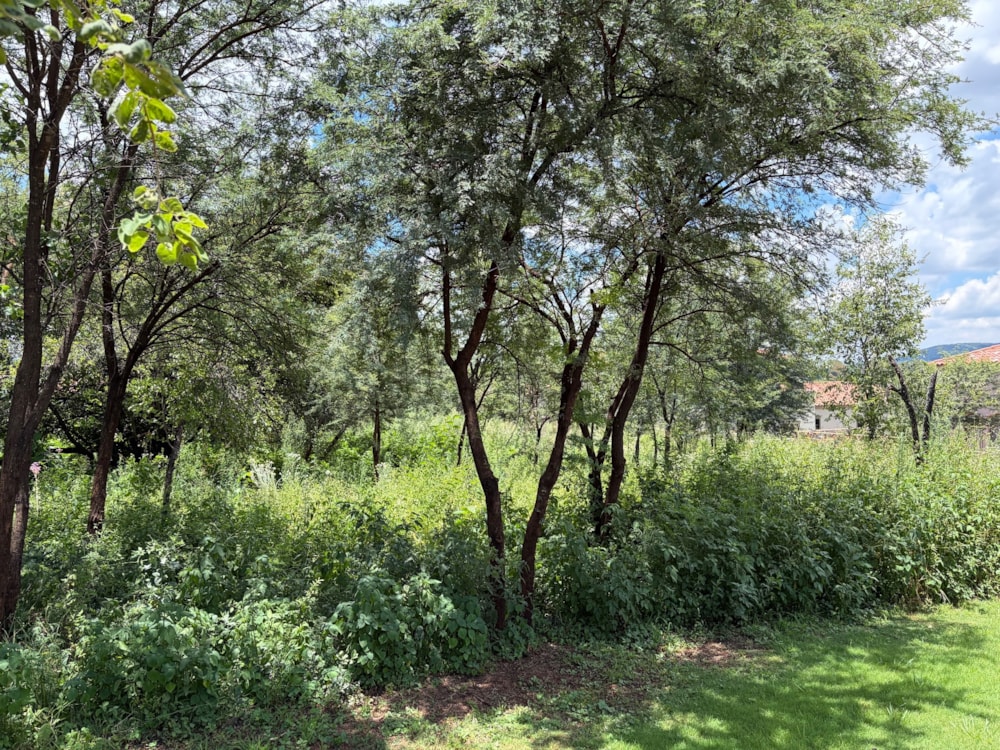 Residential vacant land for sale in Estate D Afrique - 1HR1726446
