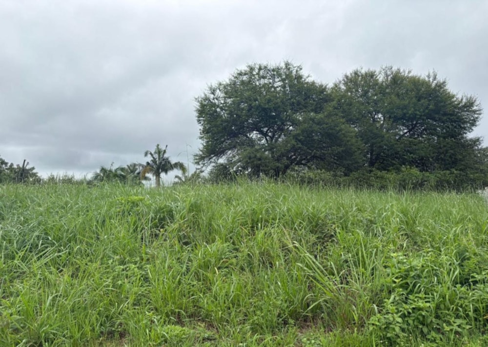 Vacant land for sale in Golden Acres - 1TA1727223