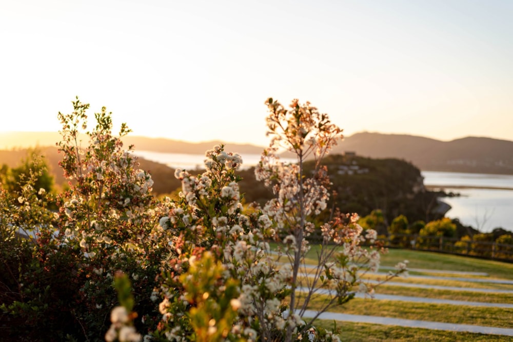 Farm vacant land for sale in Welbedacht - 1KG1631555