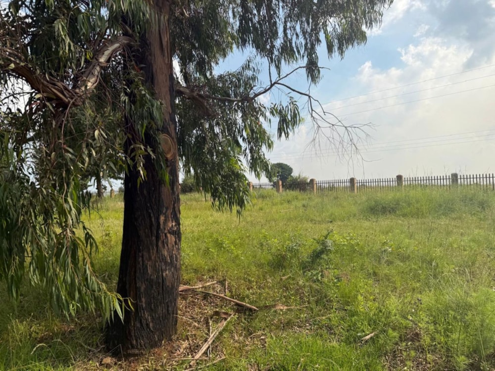 Vacant land for sale in Dullstroom - 1DS1728364