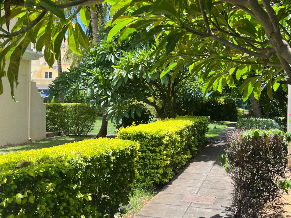 Apartment let in Flic en Flac, Mauritius - MUR1711636