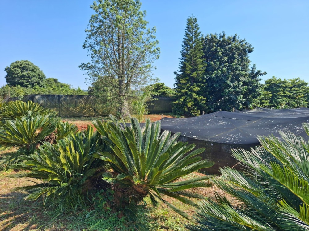 Smallholding for sale in Lushof A H - 1TA1692005