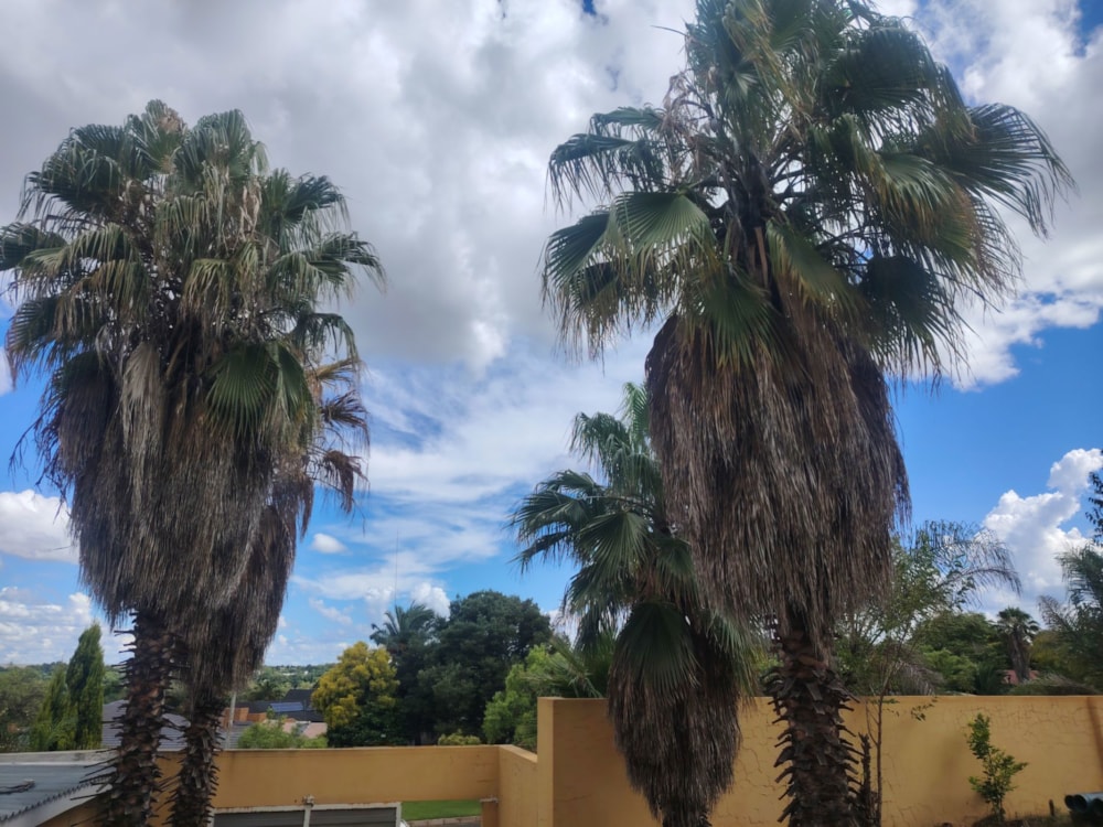 Vacant land for sale in Gholfsig - 1MD1726519