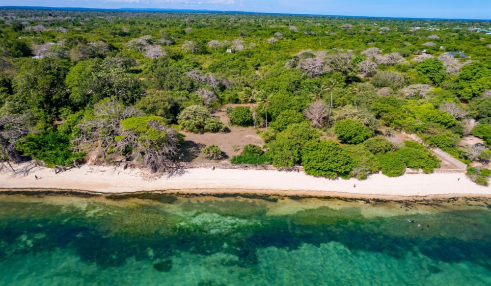 Residential vacant land for sale in Shimoni, Kenya - 3KE1724034