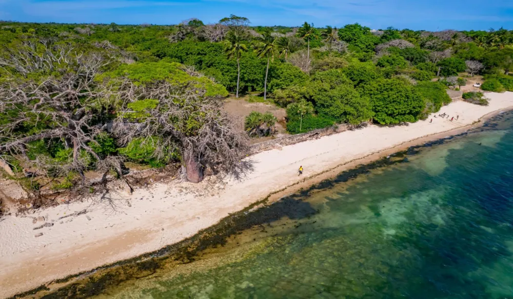 Residential vacant land sold in Shimoni, Kenya - 3KE1724034