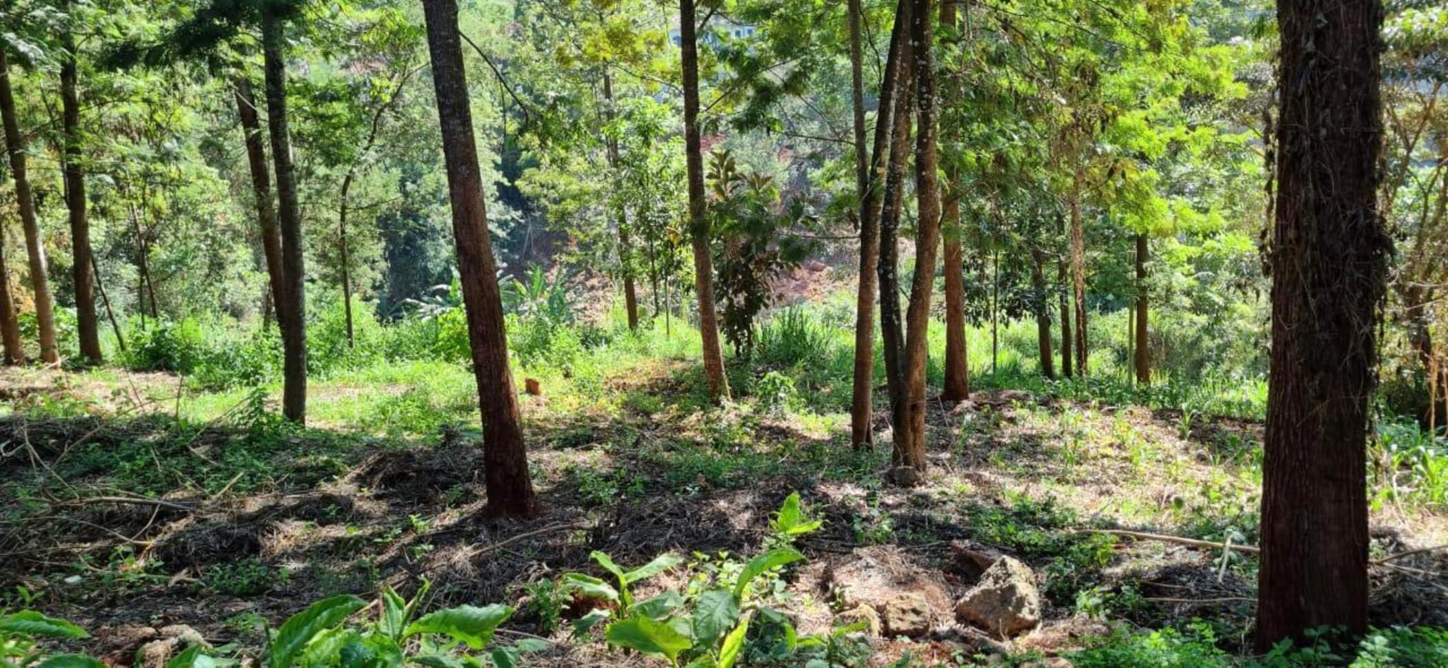Vacant land for sale in New Kitisuru, Kenya - 3KE1726624