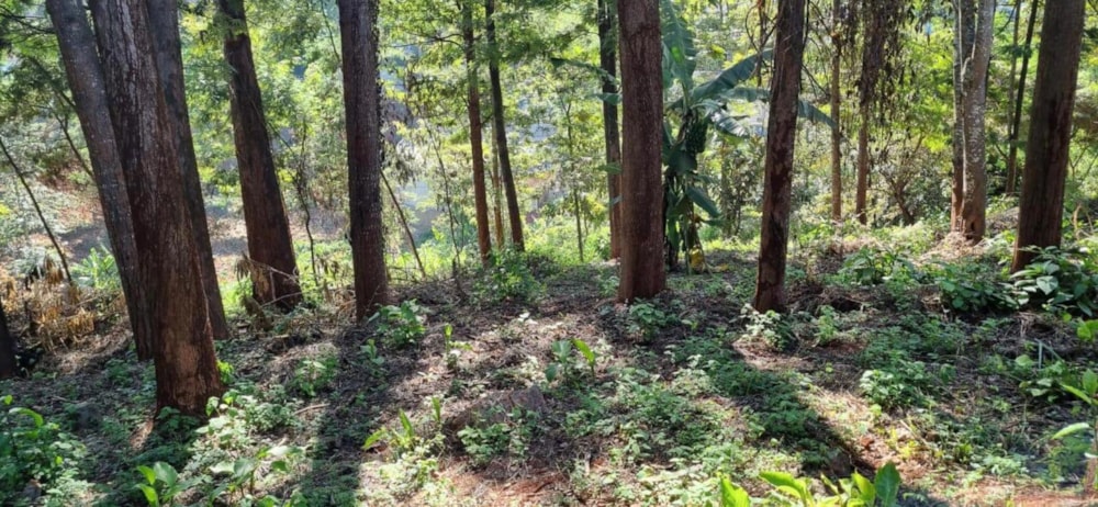 Vacant land for sale in New Kitisuru, Kenya - 3KE1726624 Vacant land for sale in New Kitisuru, Kenya - 3KE1726624