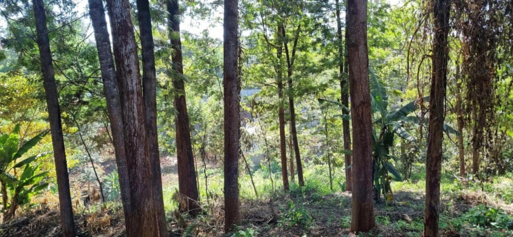 Vacant land for sale in New Kitisuru, Kenya - 3KE1726624 Vacant land for sale in New Kitisuru, Kenya - 3KE1726624