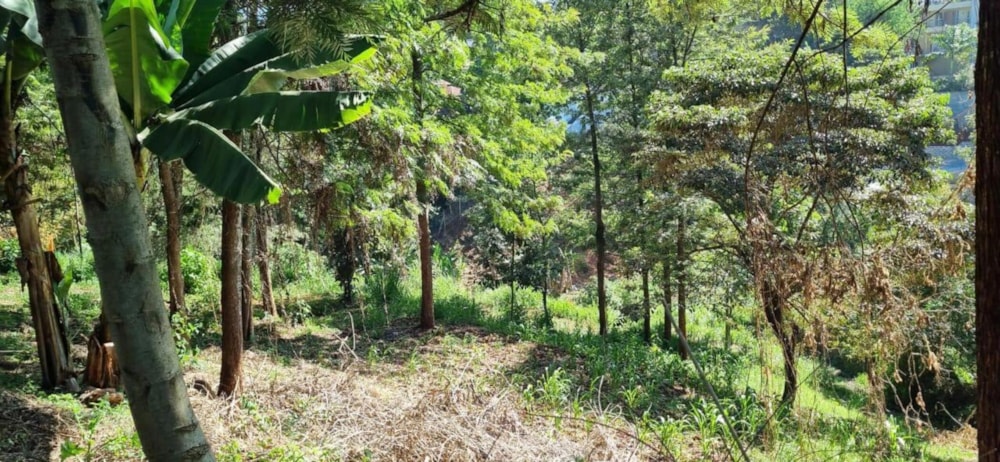 Vacant land for sale in New Kitisuru, Kenya - 3KE1726624 Vacant land for sale in New Kitisuru, Kenya - 3KE1726624