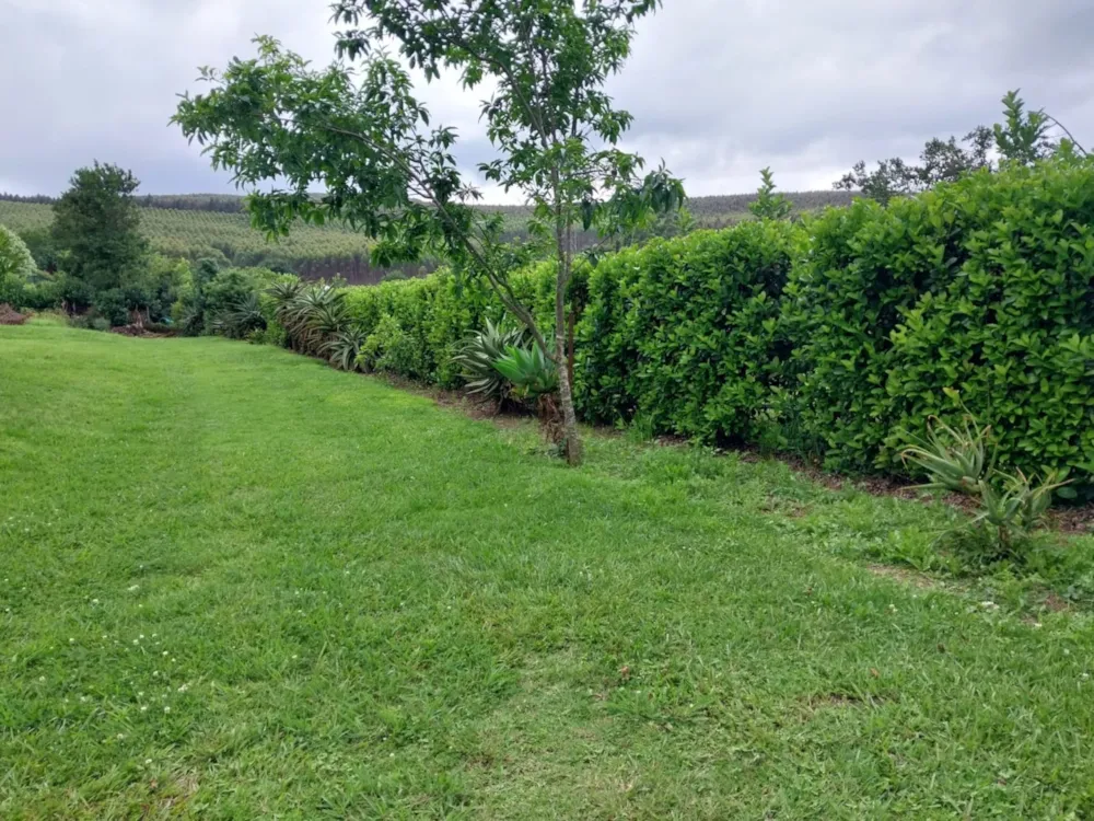 Residential vacant land sold in Byrne - 1PM1727959 Residential vacant land sold in Byrne - 1PM1727959