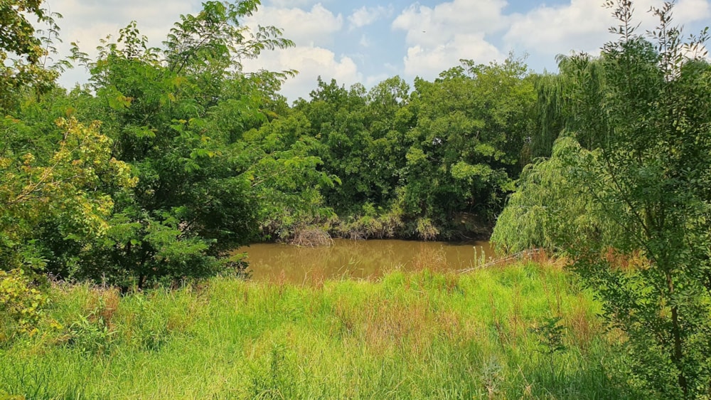 Smallholding for sale in Uitvlugt AH - 1VT1724946