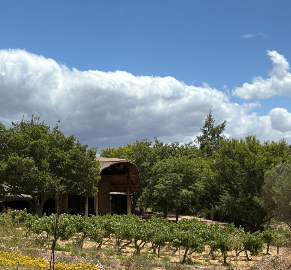 House for sale in Barrydale - 1SR1727878 House for sale in Barrydale - 1SR1727878