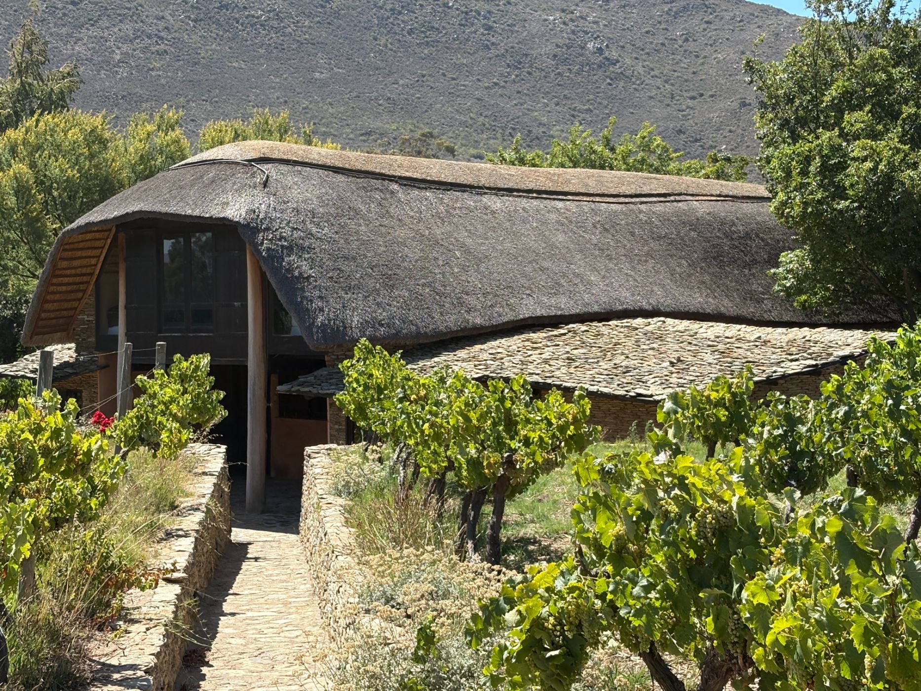 House for sale in Barrydale - 1SR1727878