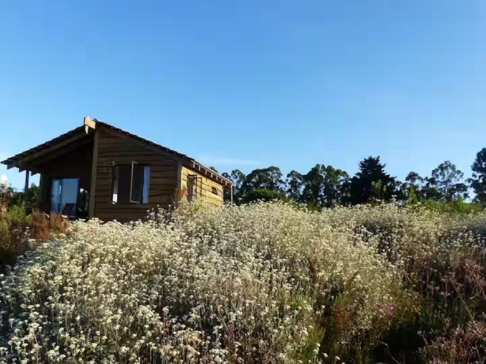 Garden cottage to rent in Harkerville - 1KG1725616