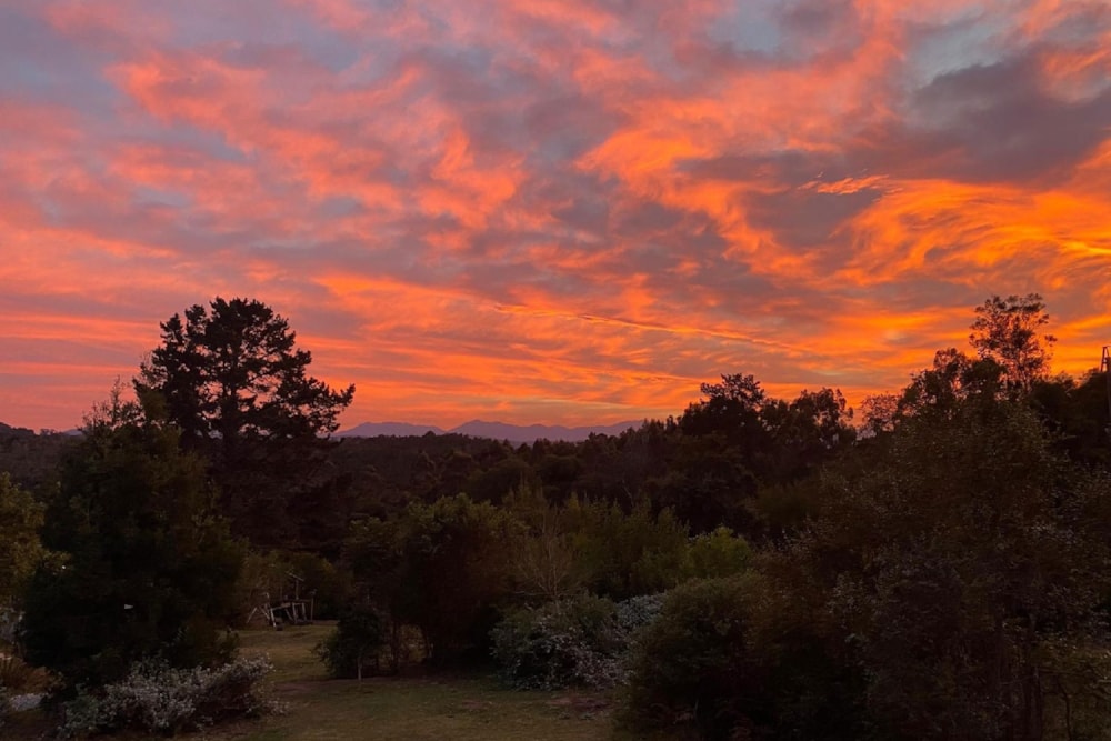 Garden cottage to rent in Harkerville - 1KG1725613