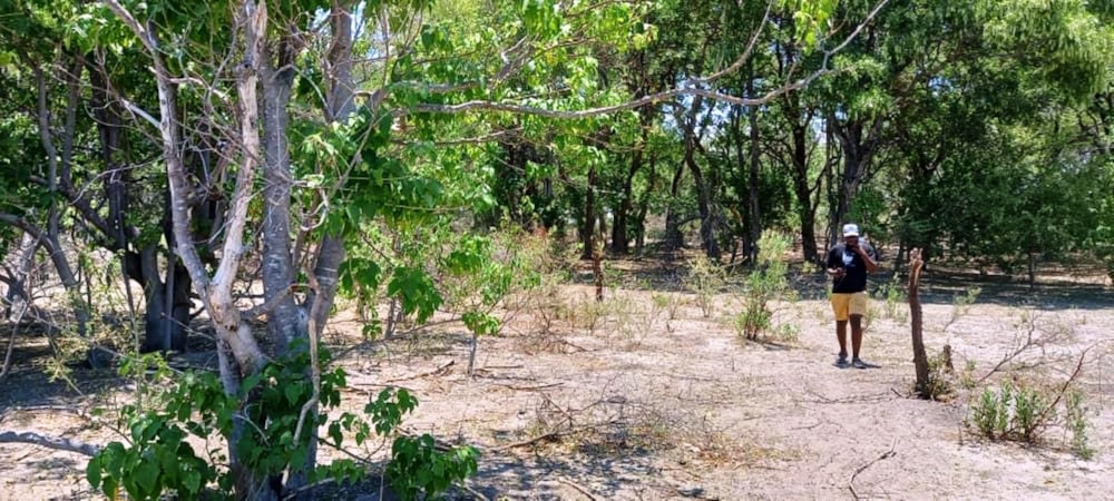Vacant land for sale in Maun, Botswana - 3BO1725594