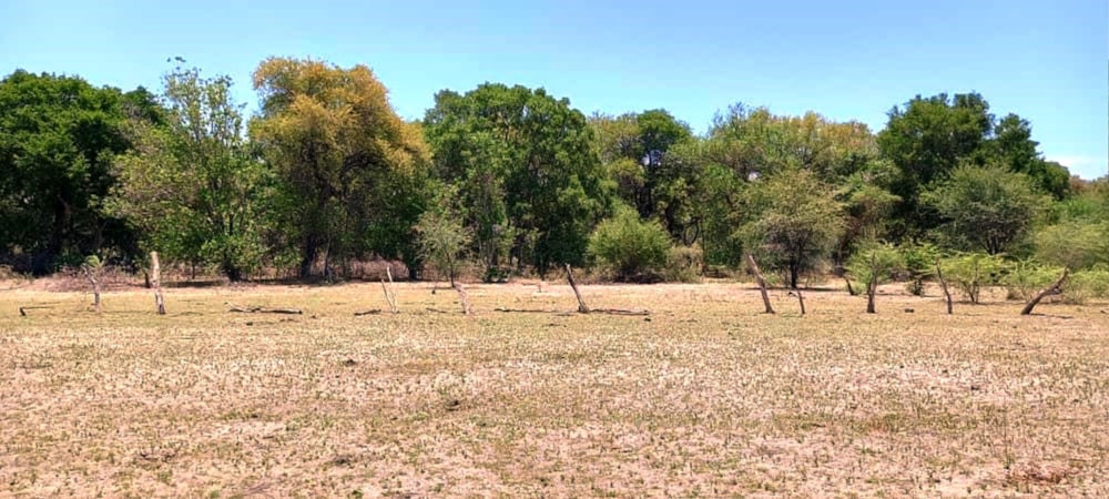 Vacant land for sale in Maun, Botswana - 3BO1725594