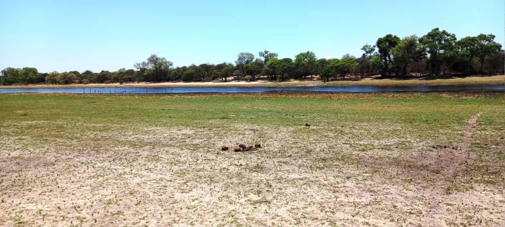 Vacant land for sale in Maun, Botswana - 3BO1725594