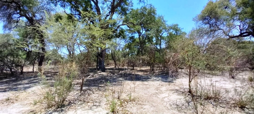 Vacant land for sale in Maun, Botswana - 3BO1725594