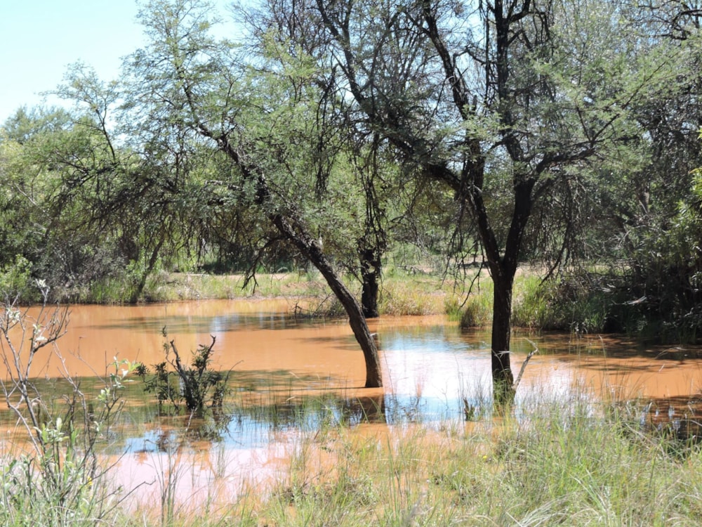 Livestock farm for sale in Groot Marico - 1RU1725851