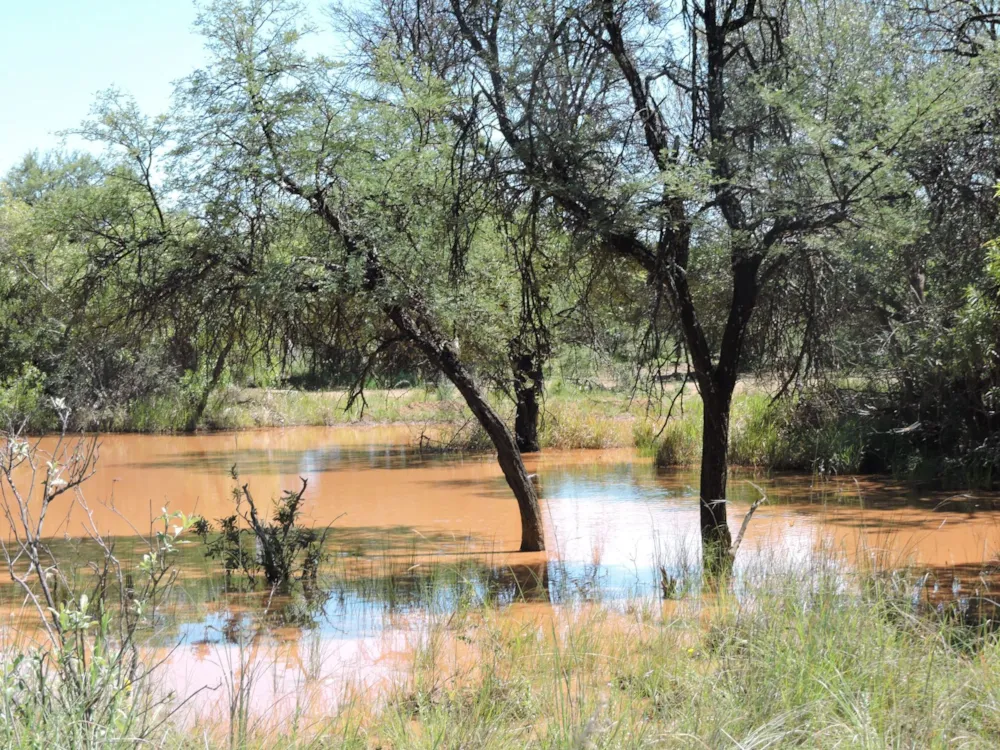 Livestock farm for sale in Groot Marico - 1RU1725851 Livestock farm for sale in Groot Marico - 1RU1725851