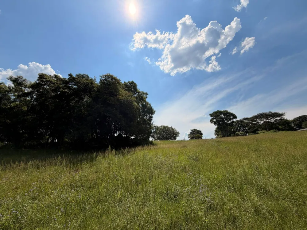 Vacant land sold in Doornhoek - 1TA1725946 Vacant land sold in Doornhoek - 1TA1725946