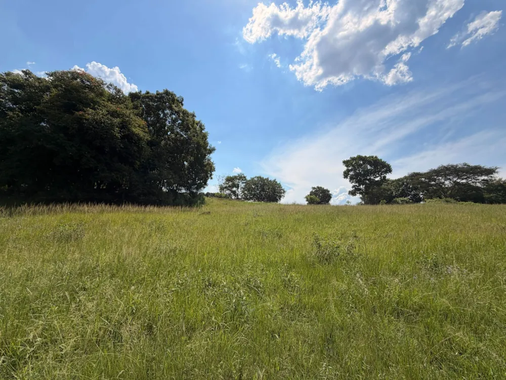 Vacant land sold in Doornhoek - 1TA1725946 Vacant land sold in Doornhoek - 1TA1725946