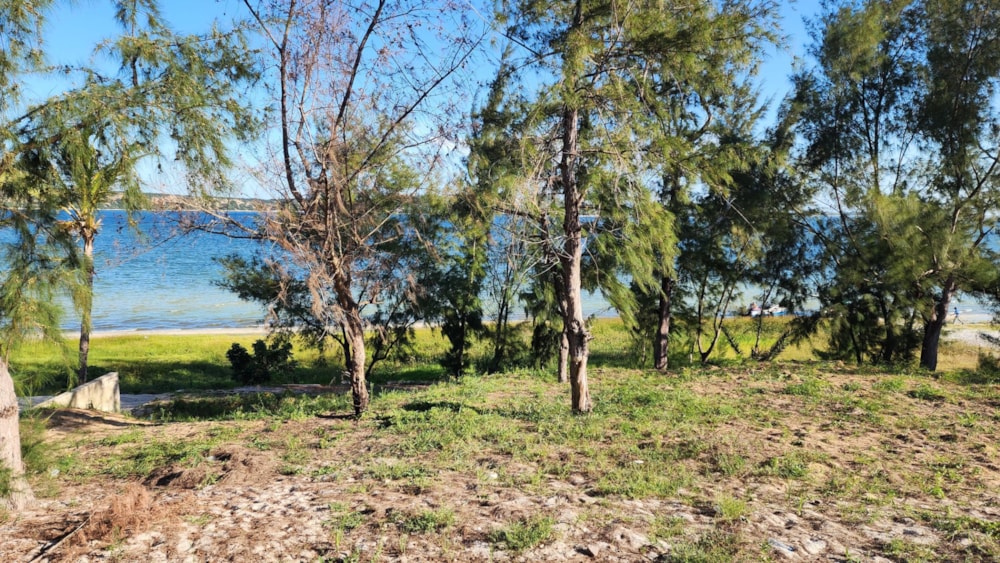 Beachfront villa for sale in Bilene, Mozambique - 3MQ1725959