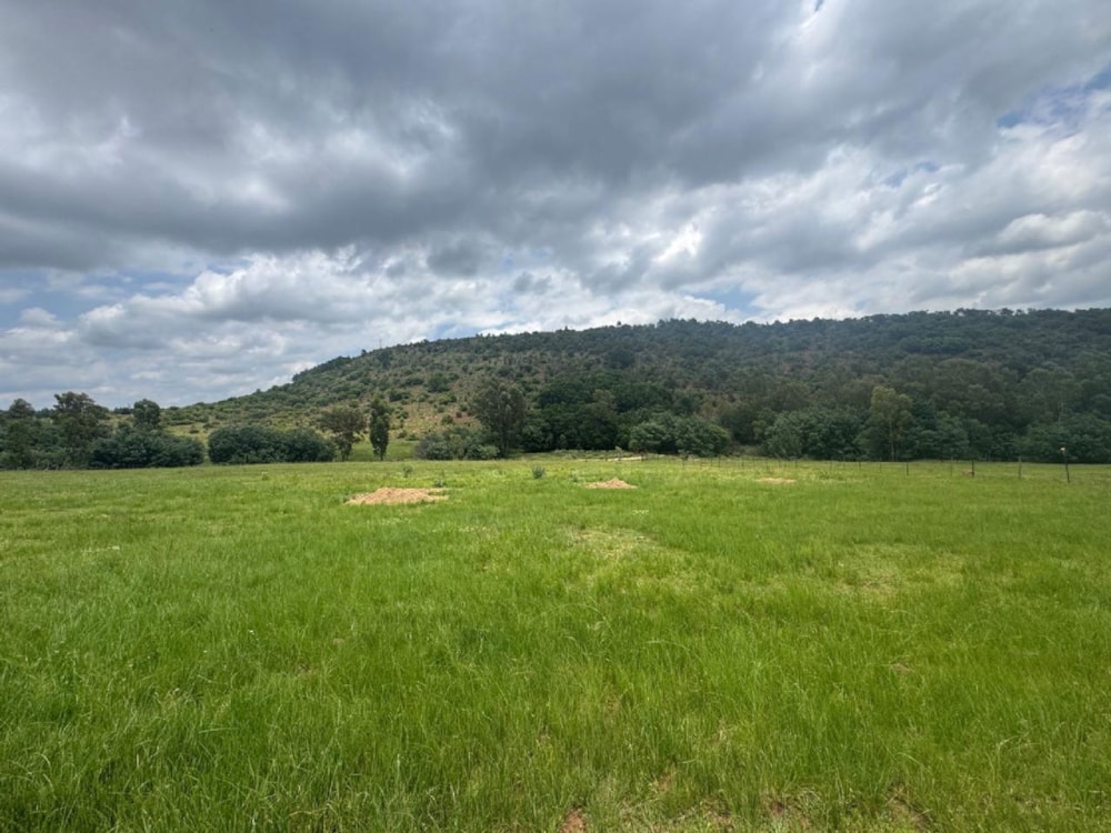 Mixed use farm for sale in Middelburg (Mpumalanga) - 1MD1726116