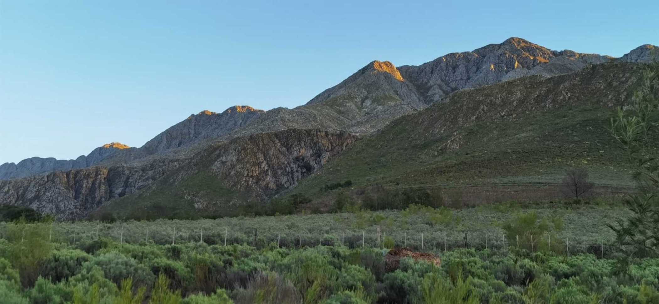 Farm vacant land for sale in Oudtshoorn Rural - 1OU1726171