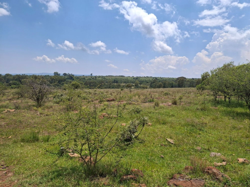 Livestock farm for sale in Rustenburg Rural - 1RU1726211