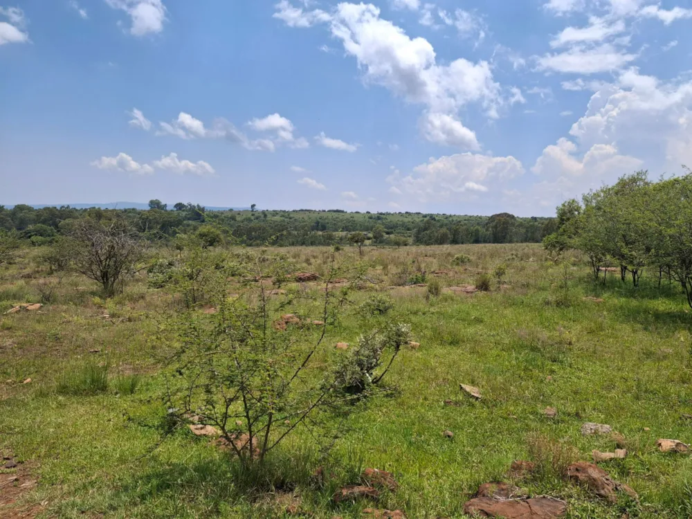 Livestock farm for sale in Rustenburg Rural - 1RU1726211 Livestock farm for sale in Rustenburg Rural - 1RU1726211