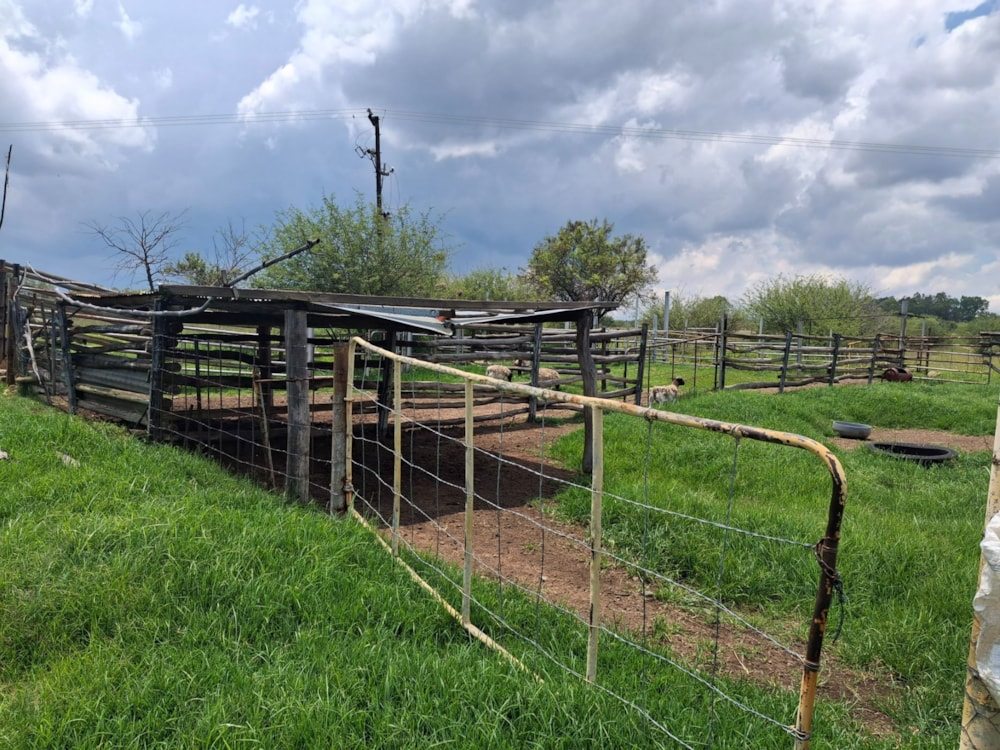 Livestock farm for sale in Rustenburg Rural - 1RU1726211