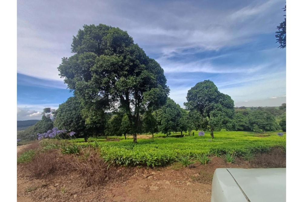 Farm vacant land for sale in Tigoni, Kenya - 3KE1732888
