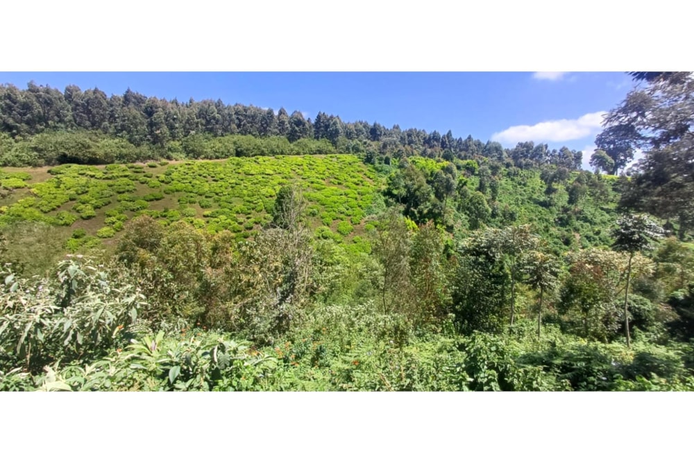 Farm vacant land for sale in Tigoni, Kenya - 3KE1732883